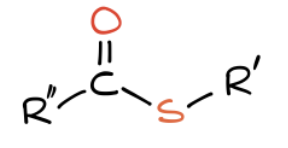 <p>What functional group is this?</p>
