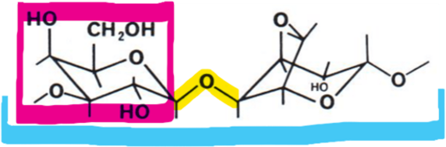 <p>Repeating units of a disaccharide composed of galactopyranose and cyclic form of galactose (both rings) that has an ether chemical group in the sugars</p>