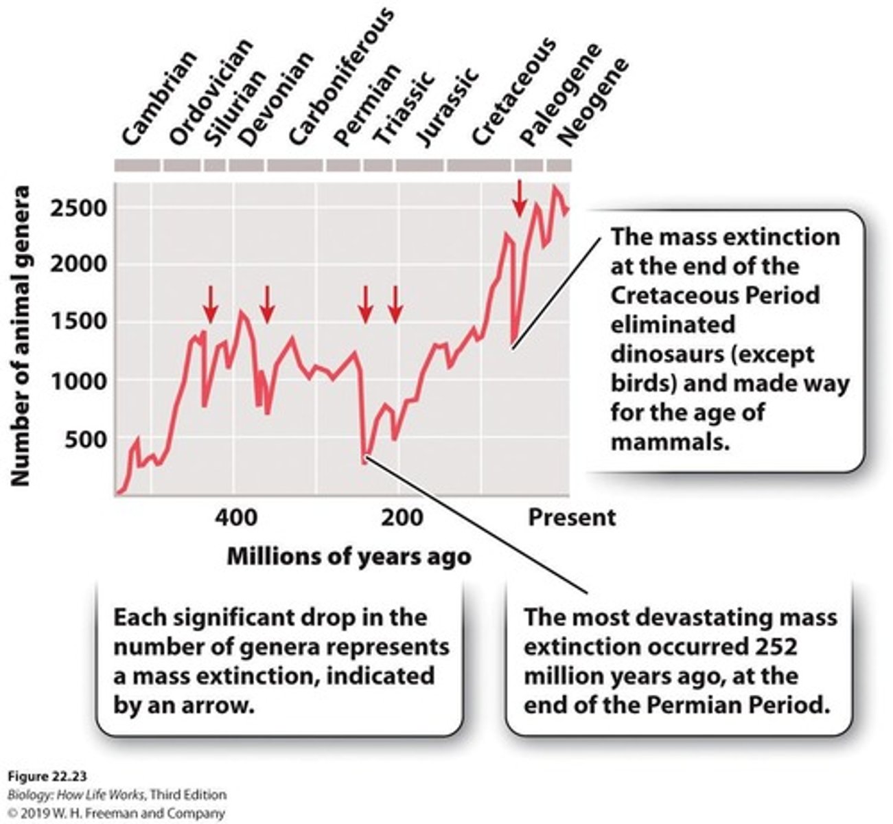 <p>Massive loss of species in Earth's history.</p>