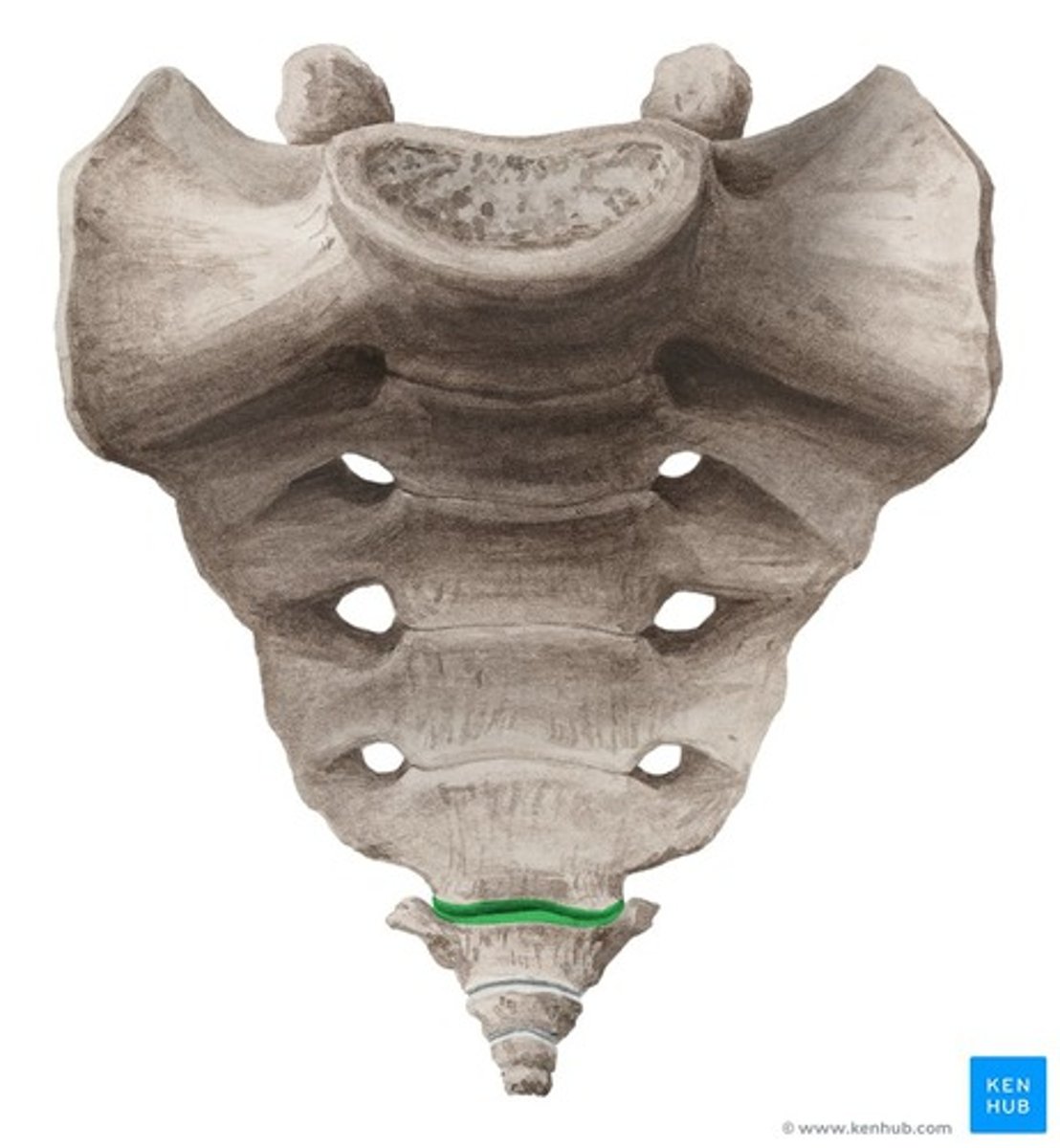 <p>Name the structure.</p>