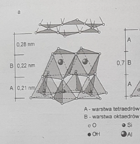 <p>jedna warstwa oktaedrów jest trwale i jednostronnie połączona z jedną warstwą tetraedrów.</p>