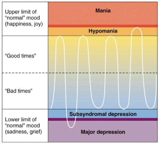 <ul><li><p>fluctuations in mood</p></li><li><p>distinct period of irritable mood</p></li><li><p>excessive energy</p></li><li><p>excessive involvement in pleasure seeking activities</p></li></ul><p></p>