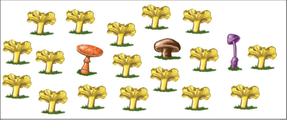 <p>In the mushroom example find the abundance total</p>