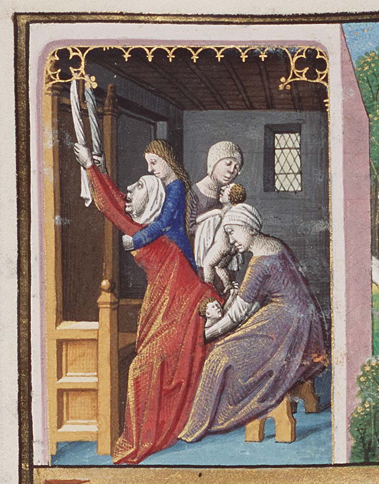<p>Birthing positions and Delivery chairs</p>