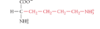 <p>What is the name of the amino acid?</p>