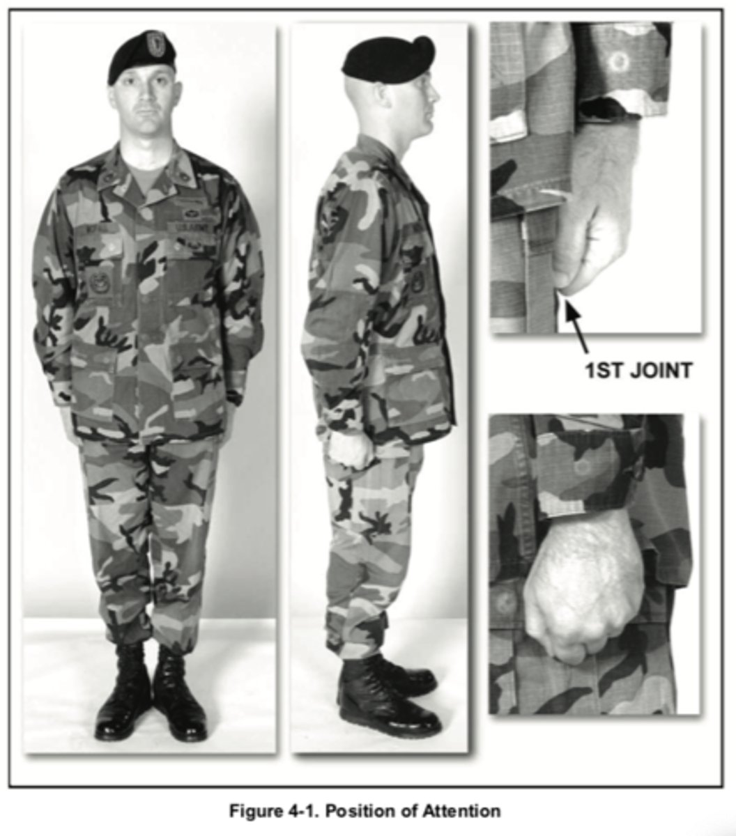 <p>To come to attention, bring the heels together smartly and on line. Place the heels as near each other as the conformation of the body permits, and ensure the feet are turned out equally, forming a 45-degree angle. Keep the legs straight without stiffening or locking the knees. The body is erect with hips level, chest lifted, back arched, and shoulders square and even. Arms hang straight down along side the body without stiffness, and the wrists are straight with the forearms.</p><p>Place thumbs, which are resting along the first joint of the forefinger, along the seams of the trousers or sides of the skirt. Hands are cupped (but not clenched as a fist) with palms facing the leg (figure 1). The head is kept erect and held straight to the front with the chin drawn in slightly so the axis of the head and neck is vertical; eyes are to the front, with the line of sight parallel to the ground. The weight of the body rests equally on the heels and balls of both feet, and silence and immobility are required.</p><p>https://www.youtube.com/watch?v=8De7O691yjc</p>