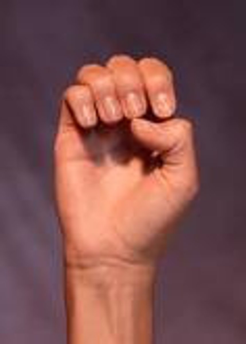 <p>Thumb is folded across in front of palm but not touching it. All fingers are partially folded with the tips of index, middle and ring fingers touching the thumb between the knuckle and the tip.</p>