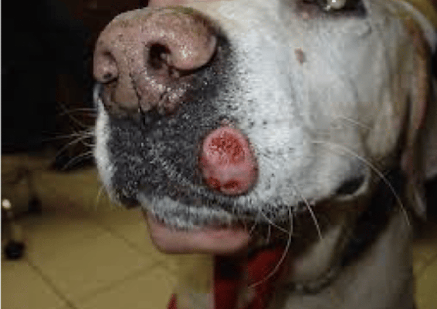 <p>what is this?</p>