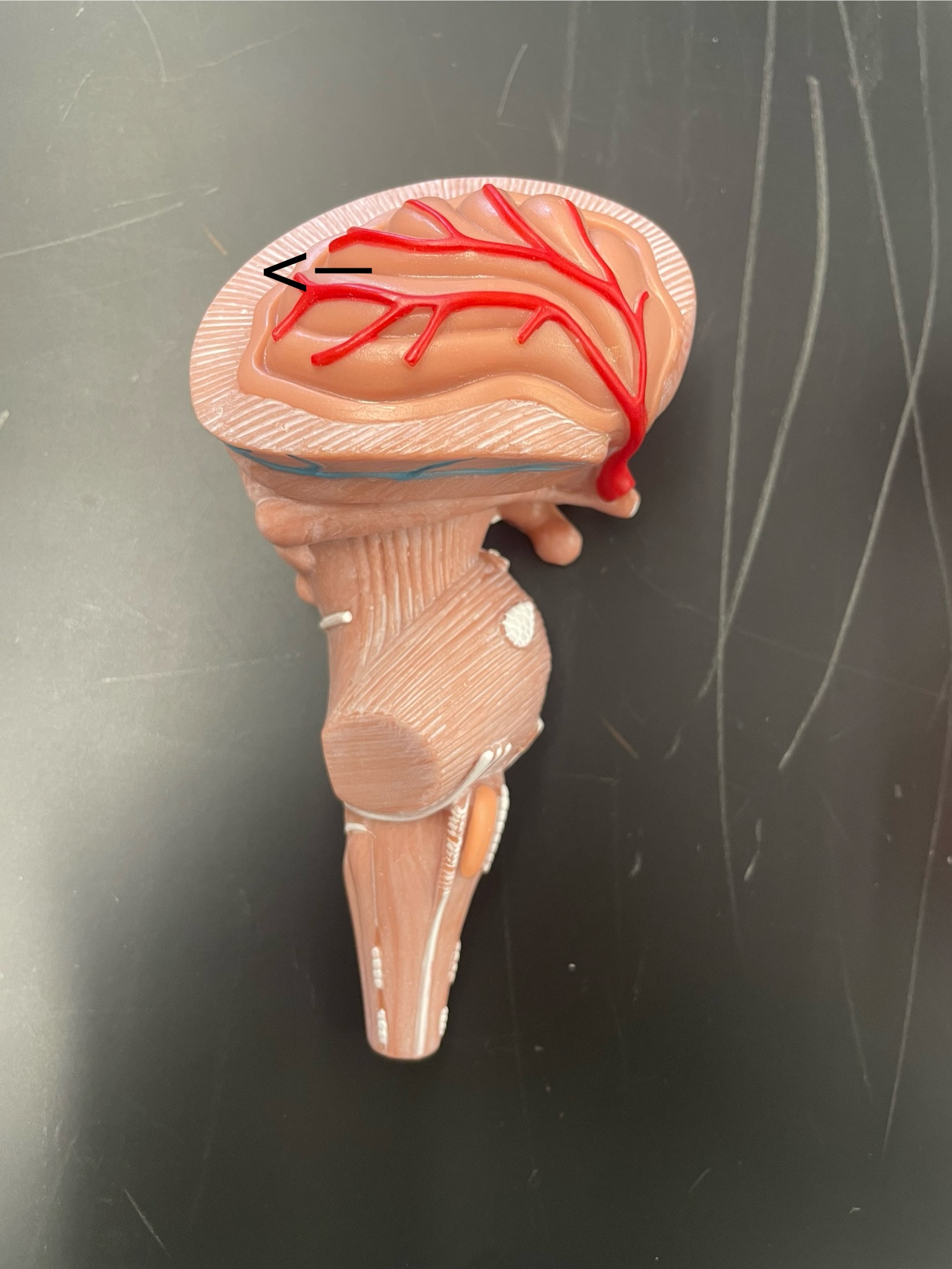 <p>ID structure </p>