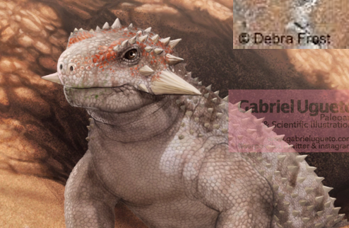 <p>Procolophon</p><p>Permian- Triassic, 1 ft long, heavy bodied herbivore, horns</p>