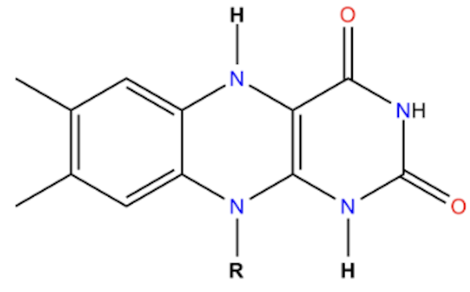<p>Name that structure.</p>