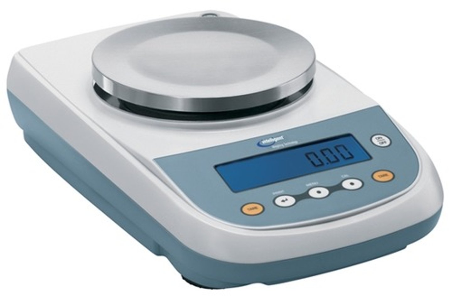 <p>a scale</p>