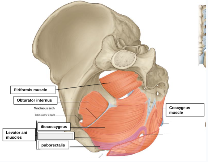 <p>what structure is that?</p>