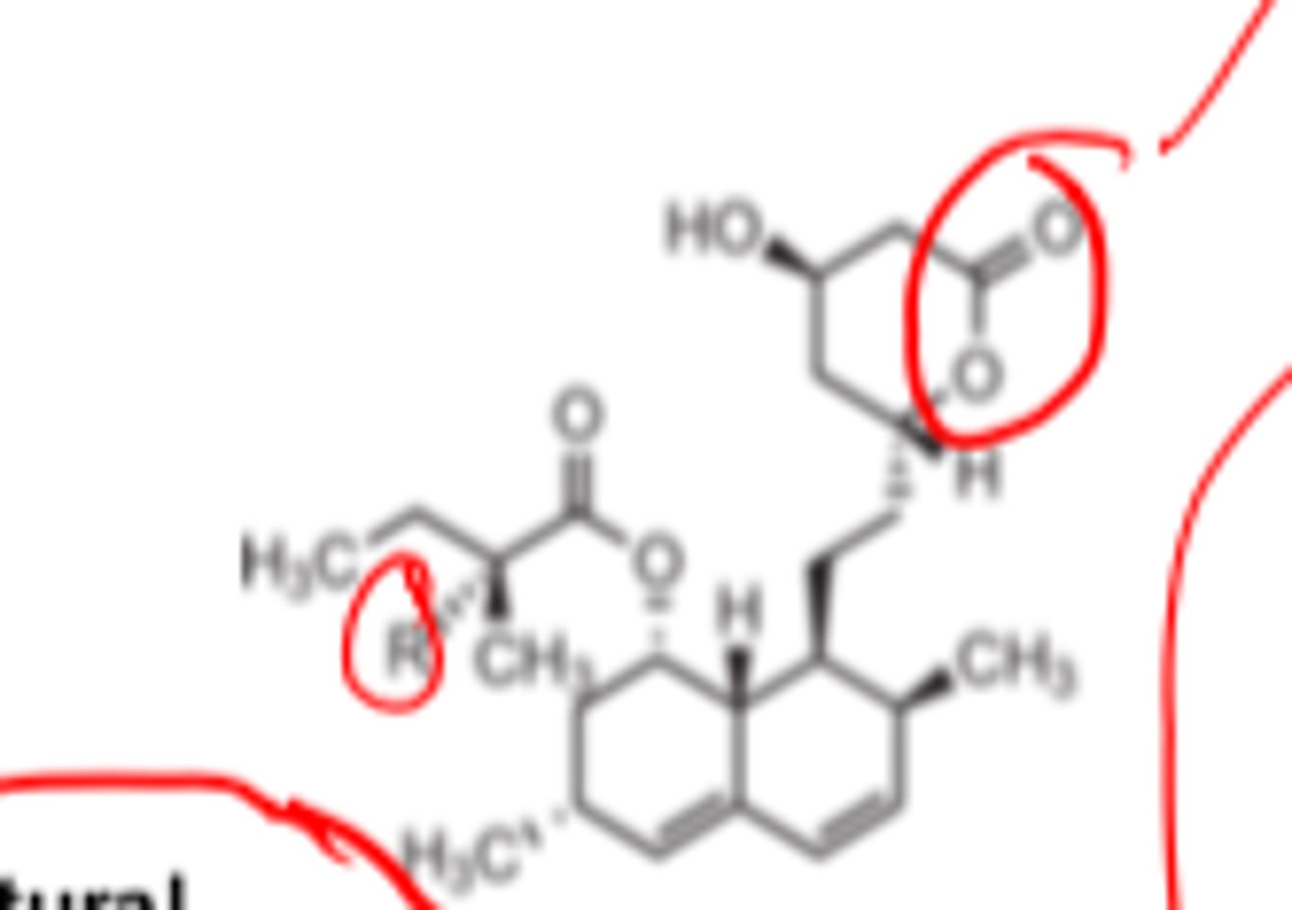<p>- prodrugs</p><p>Their active forms contain a carboxylic acid</p>