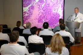 <p><strong>When explaining to a class of nursing students enrolled in pathophysiology, the instructor states, “the majority of energy used by the kidney is for…</strong></p><p>A) filtration of drugs out of the body.”</p><p>B) secretion of erythropoietin for production of RBCs.”</p><p>C) active sodium transport mechanisms.”</p><p>D) removal of excess glucose from the blood.” </p>