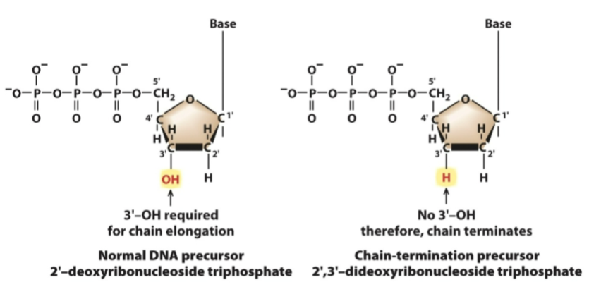 <p>What is this a diagram of </p>