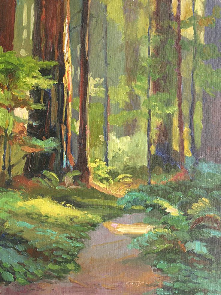 <p>forêt</p>