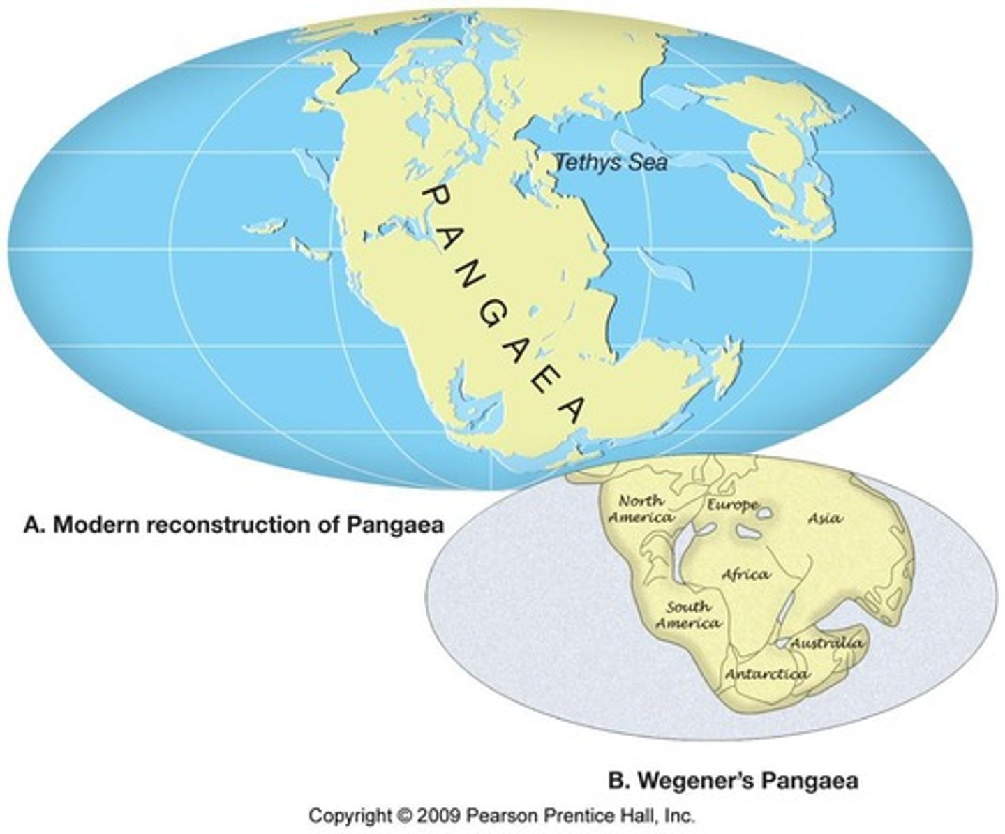 <p>Supercontinent that existed 200 million years ago.</p>