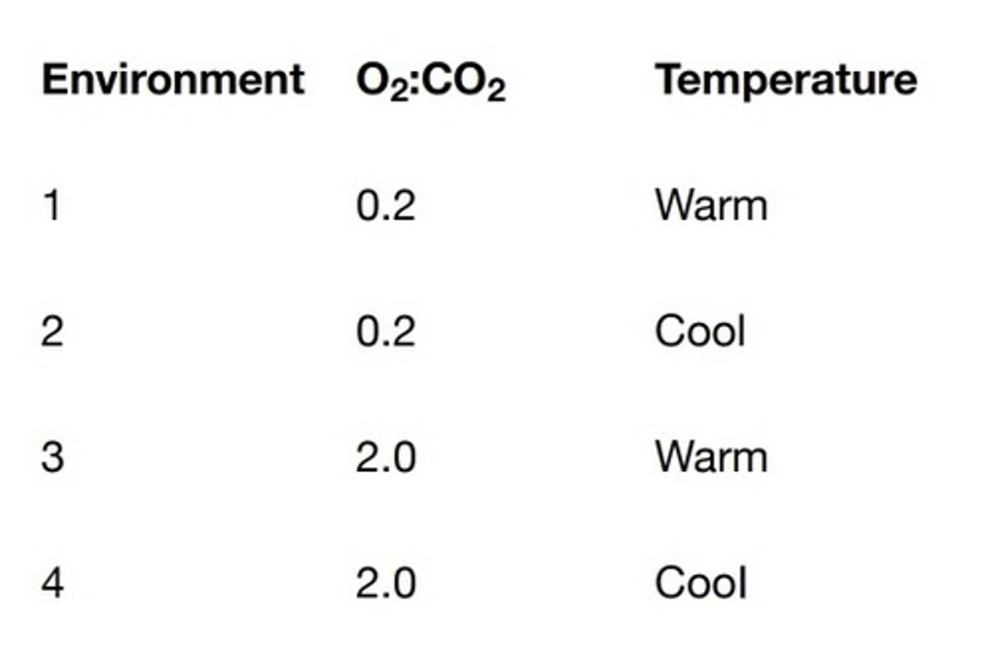 <p>C. Environment 2</p>