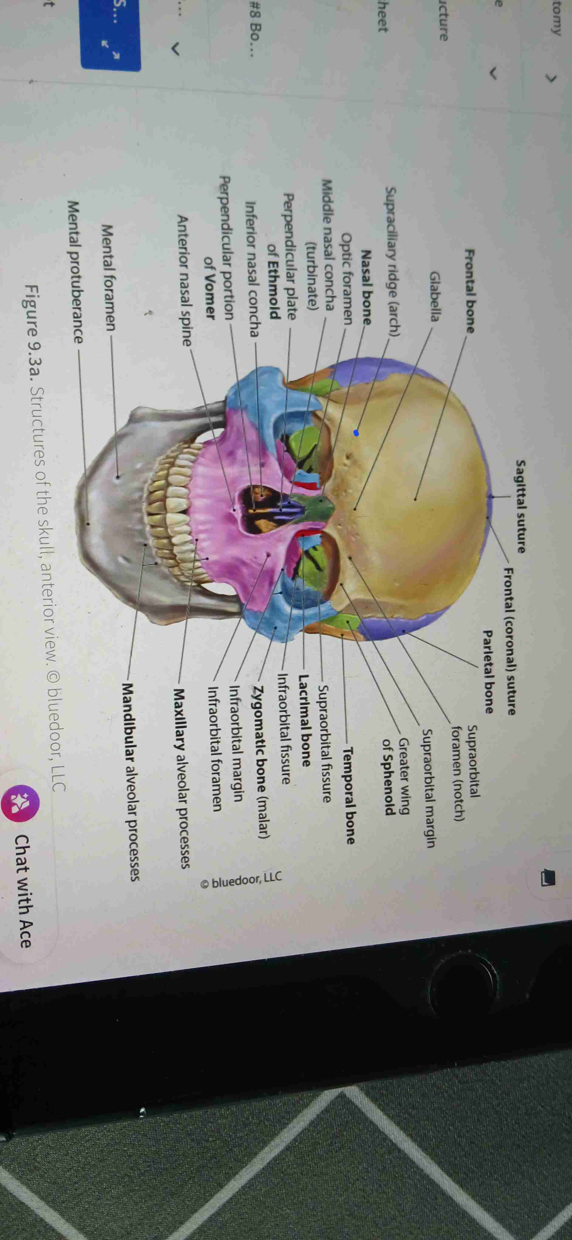 knowt flashcard image