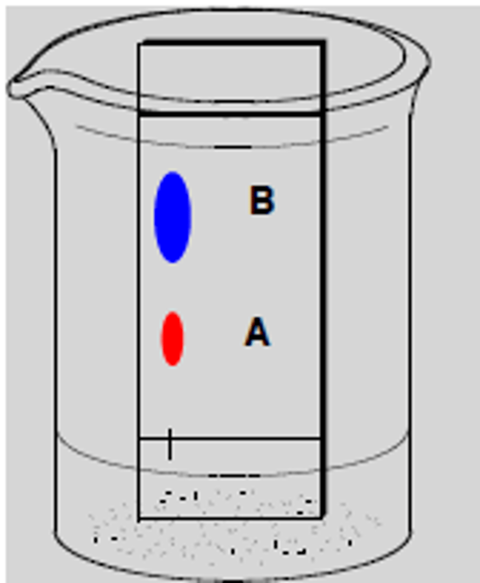 <p>a sensitive, fast, simple, and inexpensive analytical technique used measure the separation of two or more compounds</p>