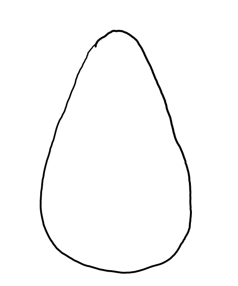 <p>What egg shape is this?</p>