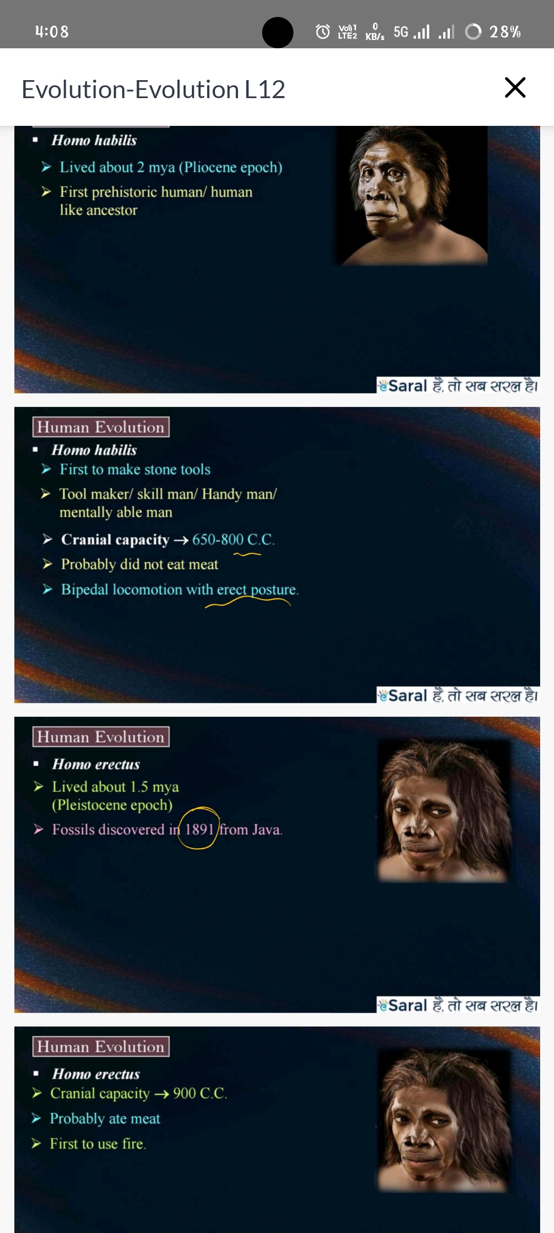 term image