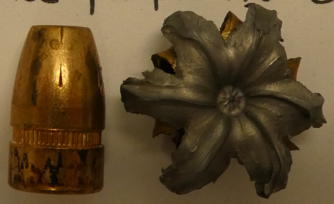 <p>The bullet of which cartridge is shown in this photo?</p>
