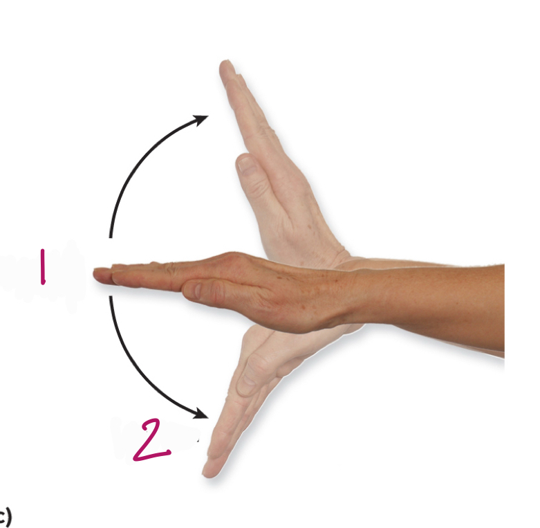<p>Label figure 2.</p>