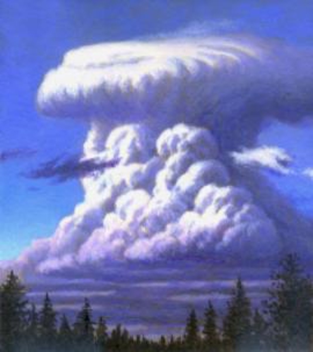 <p>Large anvil shaped clouds which form the clouds within the storm vortex.</p>