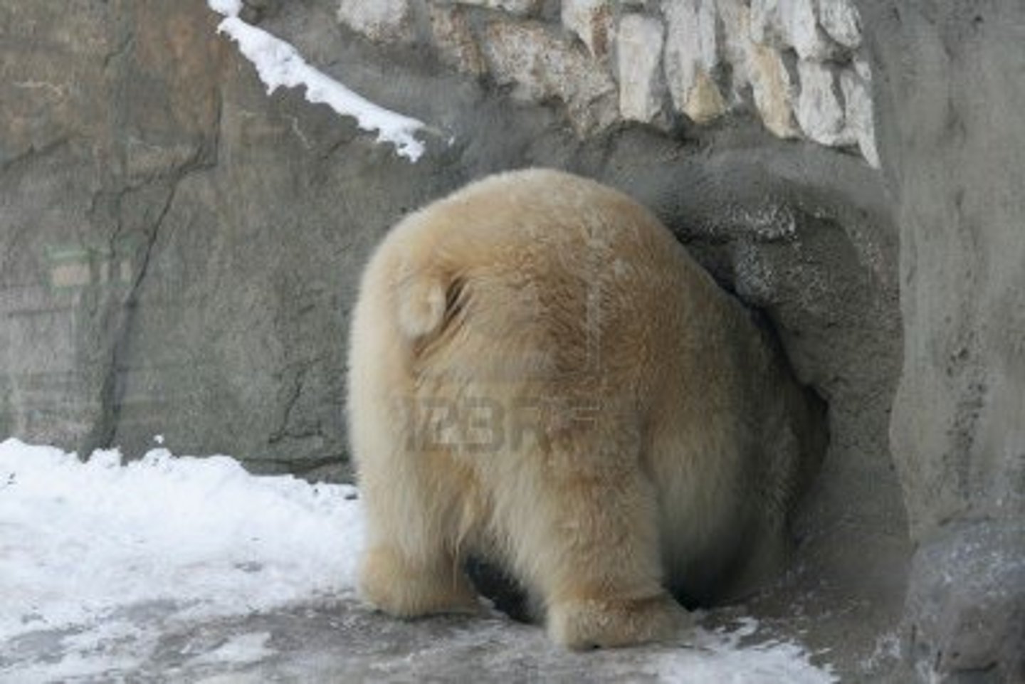 <p>to go into</p>