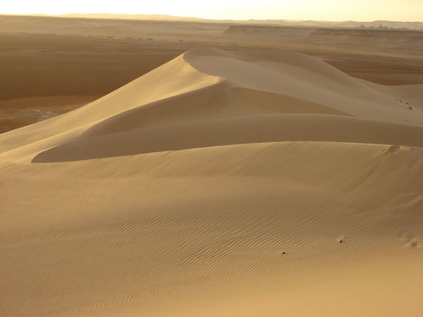 <p>a ridge of sand created by the wind</p>
