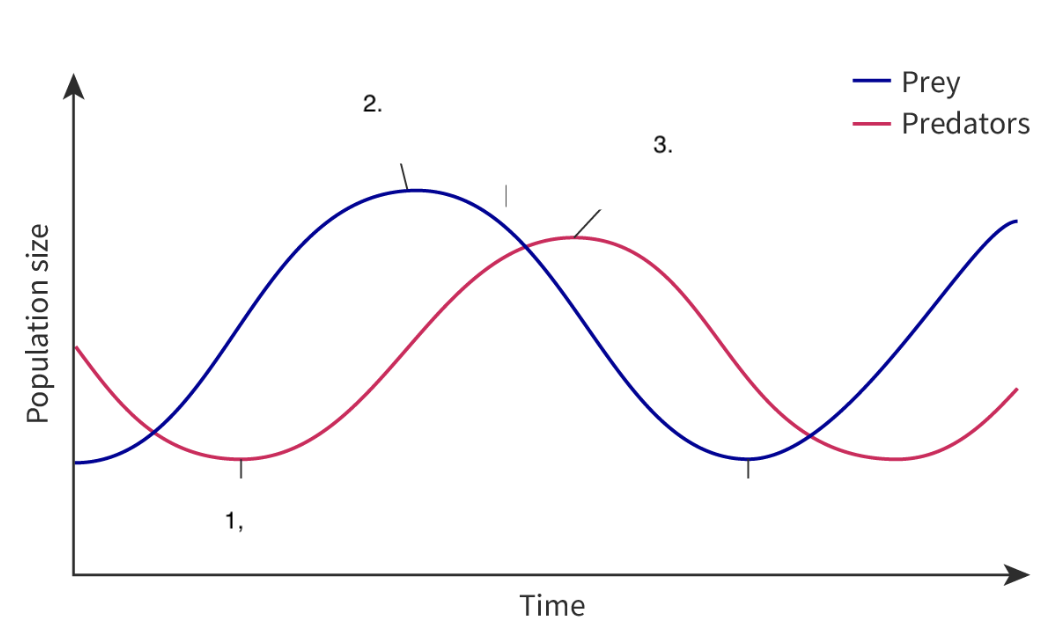 <p>Explain the negative feedback cycle using this image. </p>