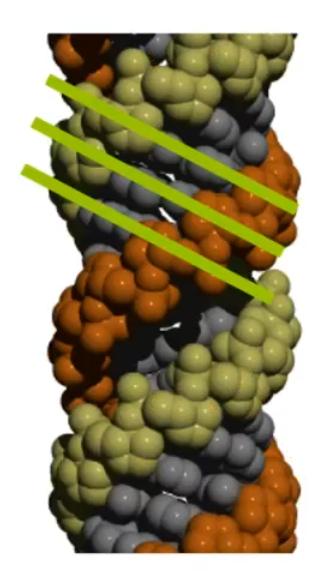 <p>what form of DNA is this?</p>