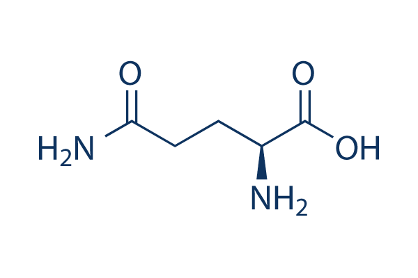 <p>Q</p>