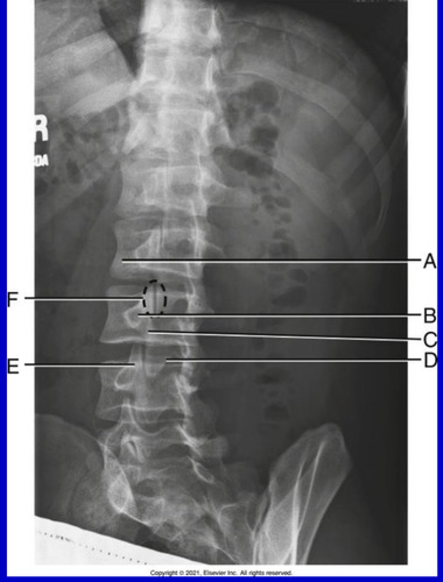 <p>What position?</p>