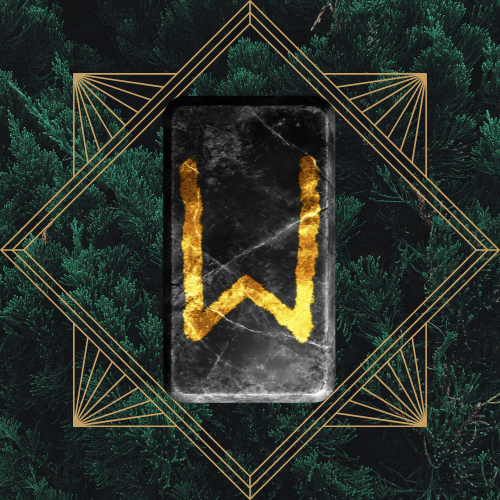 <p>ehwaz - reversed</p>