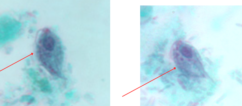 <p>What is at the red arrows?</p>