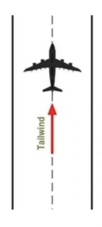 <p><strong>Tailwind</strong></p>