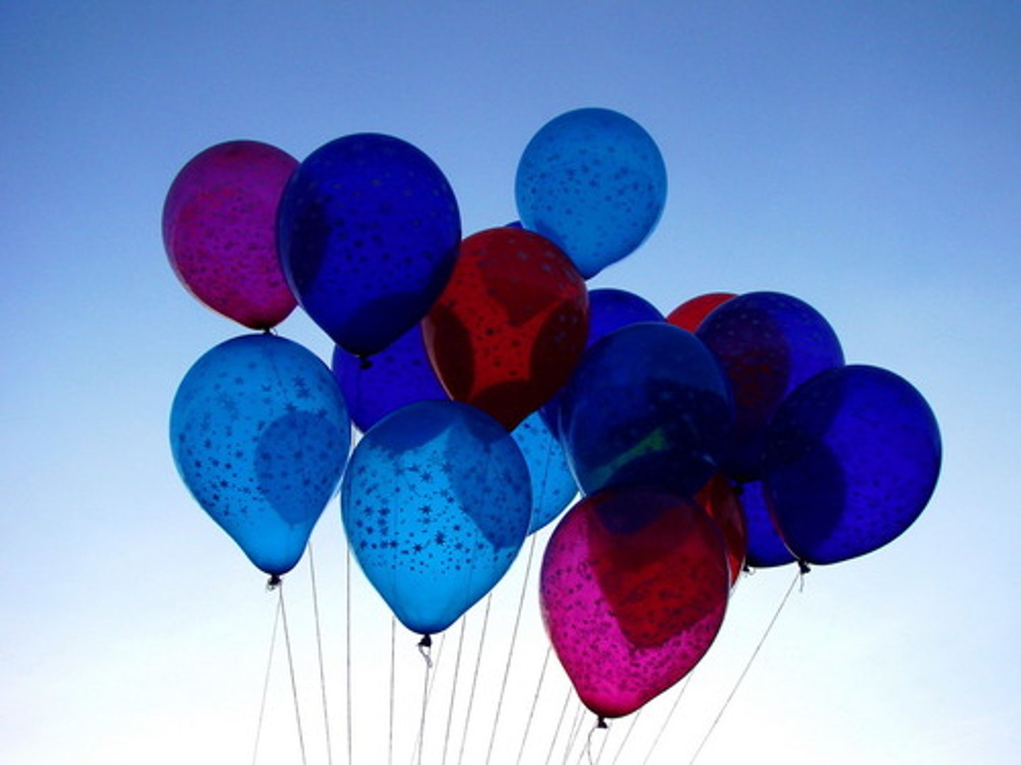 <p>Yo los colgé.</p>