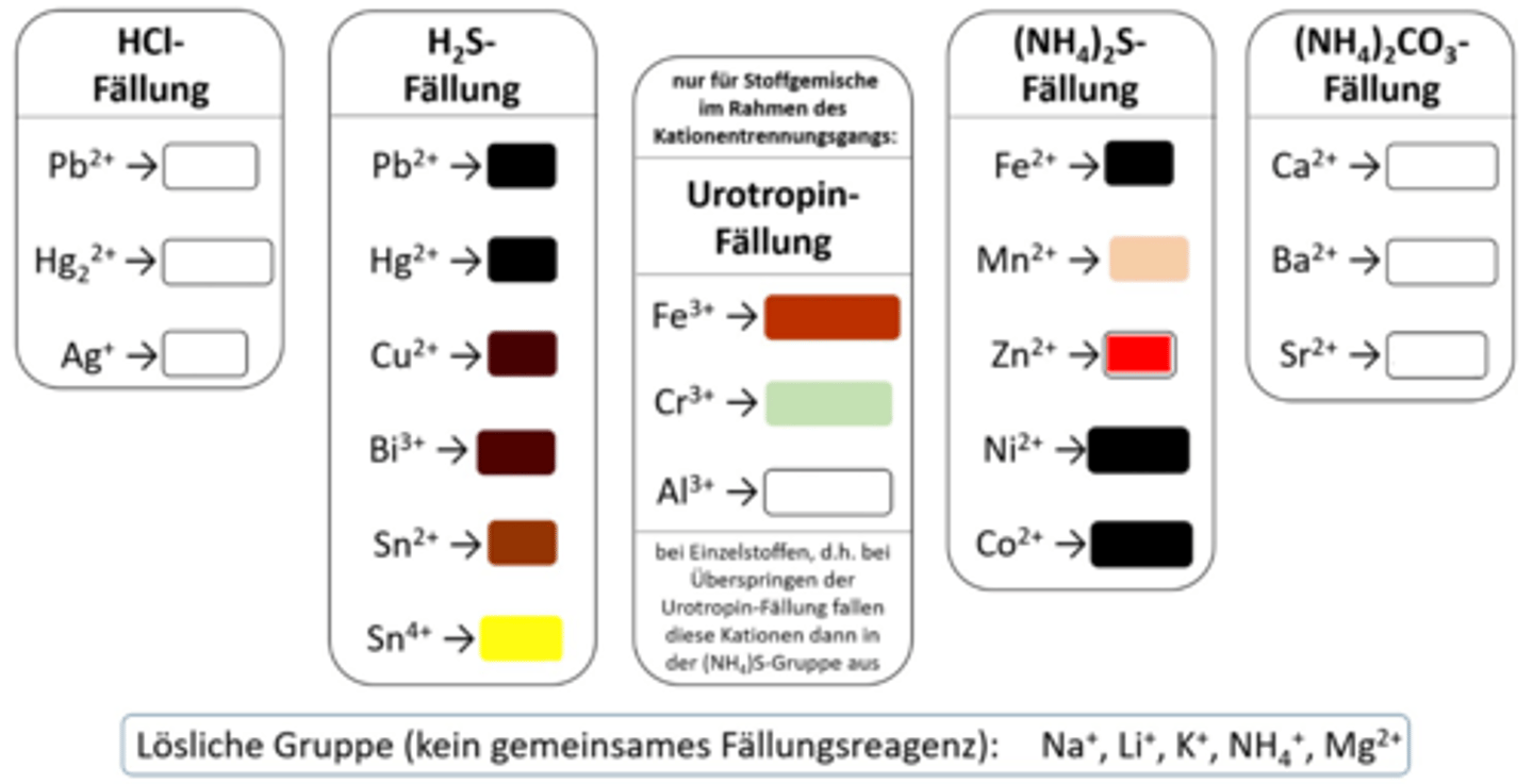 <p>Zn²⁺ NS</p>