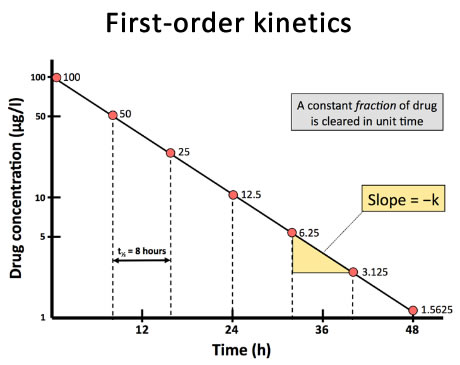 <p>Rate of drug elimination is directly proportional to plasma concentration  Common in most drugs </p><p>Exponential decrease → helps to determine half life</p>