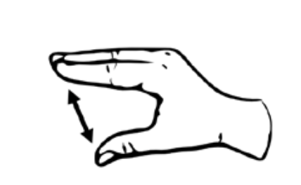 term image