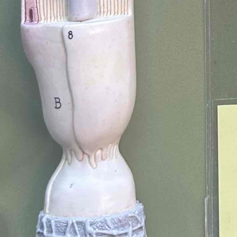 <p>B</p>
