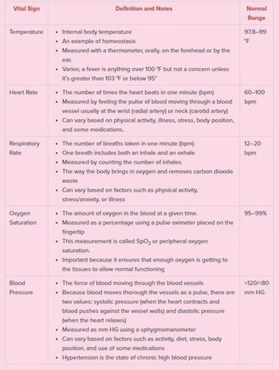 <p>Instrument used to listen to internal body sounds.</p>