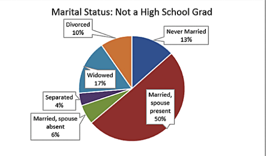 <p>pie chart</p>