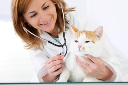 veterinarian