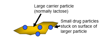 <p><span><span>Carrier particles (50-100μm) are needed&nbsp; to stop small (< 5μm) drug particles aggregating (this is known as an ORDERED MIX).</span></span></p><p style="text-align: left;"><span><span>To be effective for delivery the small drug particles must be separated from the carrier during inhalation</span></span></p><p style="text-align: left;"><span><span>Large lactose particles deposit in the oro-pharynx</span></span></p><p style="text-align: left;"><span><span>Drug deposits in the lungs</span></span></p>