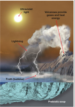 <ul><li><p>High volcanic activity</p></li><li><p>High UV radiation (thin atmosphere)</p></li><li><p>Lightning</p></li><li><p>Water vapour, methane, ammonia, hydrogen</p></li></ul>