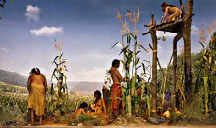 <p>Before 1492, many American Indian cultures were strongly influenced by the</p>